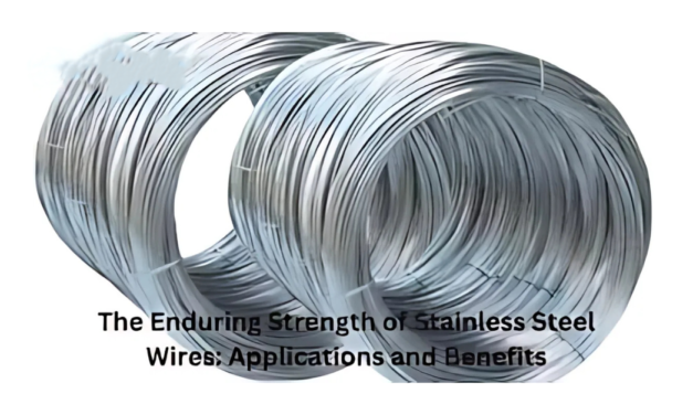 What are the future trends in the development of stainless steel wires and cables?