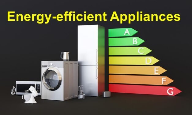  How do energy-efficient electrical appliances work?