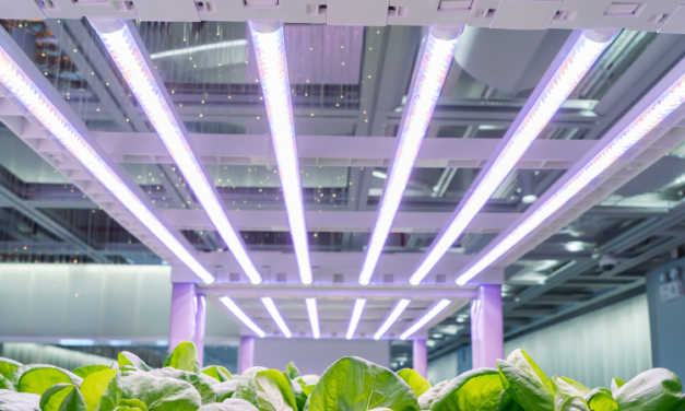 What factors should be considered when selecting LED products for commercial lighting applications?