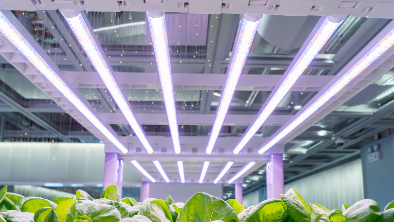 What factors should be considered when selecting LED products for commercial lighting applications?